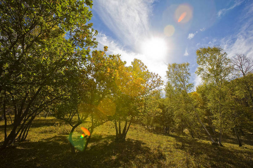 横图,彩色,室外,白天,旅游,树林,坝上,中国,亚洲,高原,旷野,天空,自然,平原,景色,摄影,自然风光,东亚,内蒙古,中华人民共和国,秋天,彩图,旅行,bj174