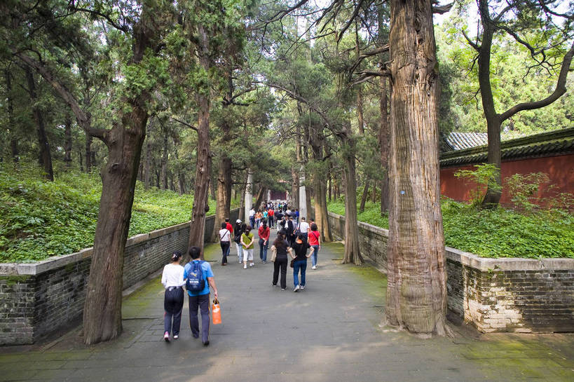 横图,彩色,室外,白天,旅游,度假,名胜古迹,标志建筑,地标,建筑,中国,遗迹,图片,文化遗产,古迹,文物,娱乐,建设,古建筑,山东,树木,享受,休闲,旅游胜地,放松,摄影,古代建筑,中国文化,参观,古文明,东亚,曲阜,旅行,游览,孔林,传统文化,bj174