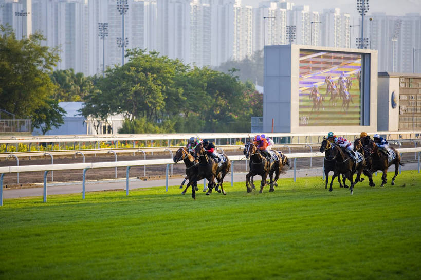 横图,彩色,室外,白天,旅游,度假,比赛,美景,城市风光,城市,香港,中国,亚洲,行人,游客,游人,图片,景观,娱乐,路人,旅客,享受,休闲,旅游胜地,景色,放松,摄影,港,参观,东亚,新界,香港特别行政区,港澳台,中华人民共和国,繁荣,发达,过客,沙田区,沙田,赛马,旅游者,彩图,旅行,跑马地,香港奥运马术比赛场地,沙田马场,沙田赛马场,bj174