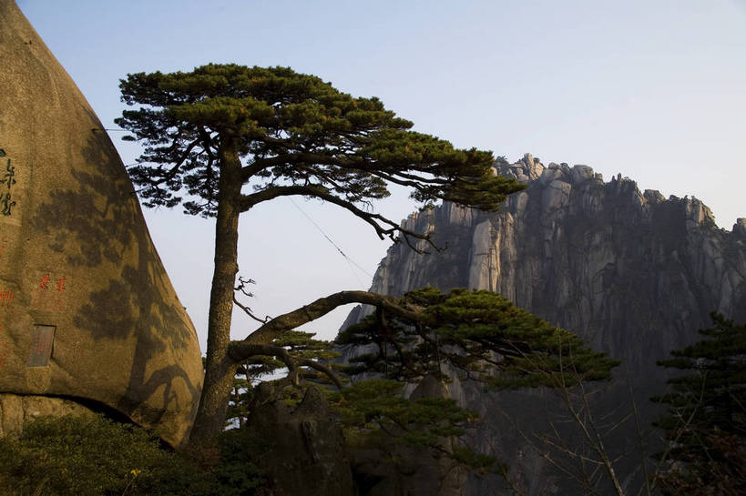 横图,彩色,室外,白天,旅游,度假,黄山,名胜古迹,山,天际线,标志建筑,地标,建筑,松树,中国,亚洲,行人,游客,游人,遗迹,图片,高山,文化遗产,古迹,文物,娱乐,建设,古建筑,路人,旅客,树,天空,享受,休闲,旅游胜地,放松,摄影,中国文化,自然风光,迎客松,古文明,东亚,安徽,安徽省,黄山市,中华人民共和国,华东地区,皖,过客,自然景观,黟山,彩图,旅行,世界地质公园,天下第一奇山,黄山玉屏峰,玉屏峰,玉屏景区,玉屏楼,bj174