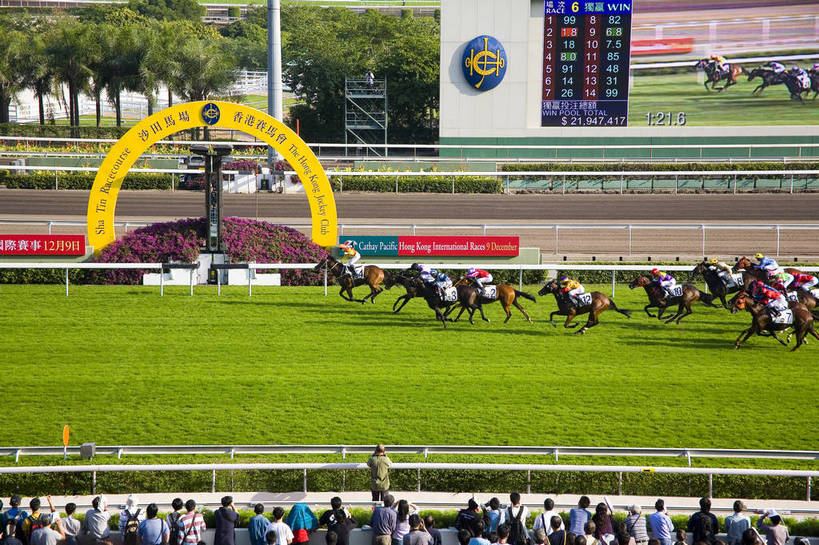 横图,彩色,室外,白天,旅游,度假,美景,城市风光,城市,香港,中国,亚洲,行人,游客,游人,图片,景观,娱乐,路人,旅客,享受,休闲,旅游胜地,景色,放松,摄影,港,参观,东亚,赛马场,新界,香港特别行政区,港澳台,中华人民共和国,繁荣,发达,过客,沙田区,沙田,赛马,旅游者,彩图,旅行,跑马地,香港奥运马术比赛场地,沙田马场,沙田赛马场,bj174