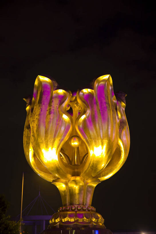 竖图,彩色,室外,夜晚,旅游,度假,美景,名胜古迹,城市风光,标志建筑,城市,地标,建筑,夜景,雕塑,香港,中国,亚洲,阴影,遗迹,艺术,装饰,光线,雕刻,雕像,图片,影子,景观,灯光,古迹,文物,娱乐,建设,古建筑,维多利亚港,工艺品,享受,休闲,闪耀,旅游胜地,景色,放松,竖,摄影,纪念,美术,闪烁,主题,参观,陈列,紫荆花,灯火通明,古文明,东亚,中华人民共和国,功能,美学,繁荣,闪动,闪灼,发达,彩图,旅行,港湾,bj174