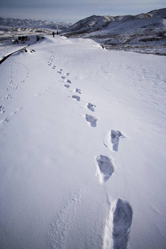 竖图,彩色,室外,旅游,山脉,田园,雪,公路,中国,亚洲,覆盖,脚印,图片,大地,雪地,冬天,辽阔,白雪,痕迹,冰冻,蓝天,天空,自然,天,广阔,寒冷,竖,摄影,足迹,矗立,清新,自然风光,耸立,参观,东亚,甘肃省,中华人民共和国,开阔,行踪,脚迹,挺立,甘南,旅行,游览,bj174