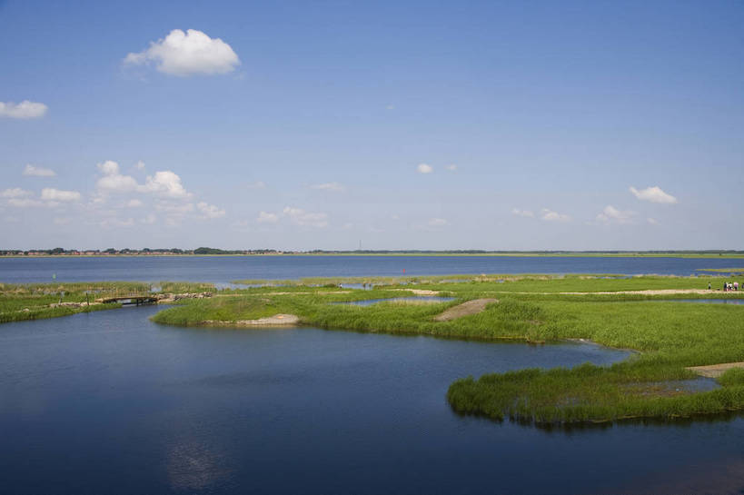 横图,彩色,室外,白天,旅游,度假,草地,草坪,湖,湖泊,名胜古迹,植物,标志建筑,地标,建筑,中国,亚洲,遗迹,民俗,图片,古迹,文物,娱乐,建设,古建筑,草,绿色,自然,享受,休闲,旅游胜地,景色,放松,摄影,美好,自然风光,古文明,东亚,黑龙江,中华人民共和国,齐齐哈尔,保护区,旅行,扎龙自然保护区,草甸,bj174