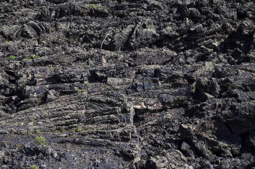 横图,彩色,室外,特写,白天,旅游,度假,火山,名胜古迹,标志建筑,地标,建筑,中国,亚洲,遗迹,图片,火山口,山路,古迹,文物,娱乐,建设,古建筑,自然,享受,休闲,旅游胜地,景色,放松,摄影,自然风光,古文明,东亚,黑龙江,中华人民共和国,山石,旅行,五大连池,bj174