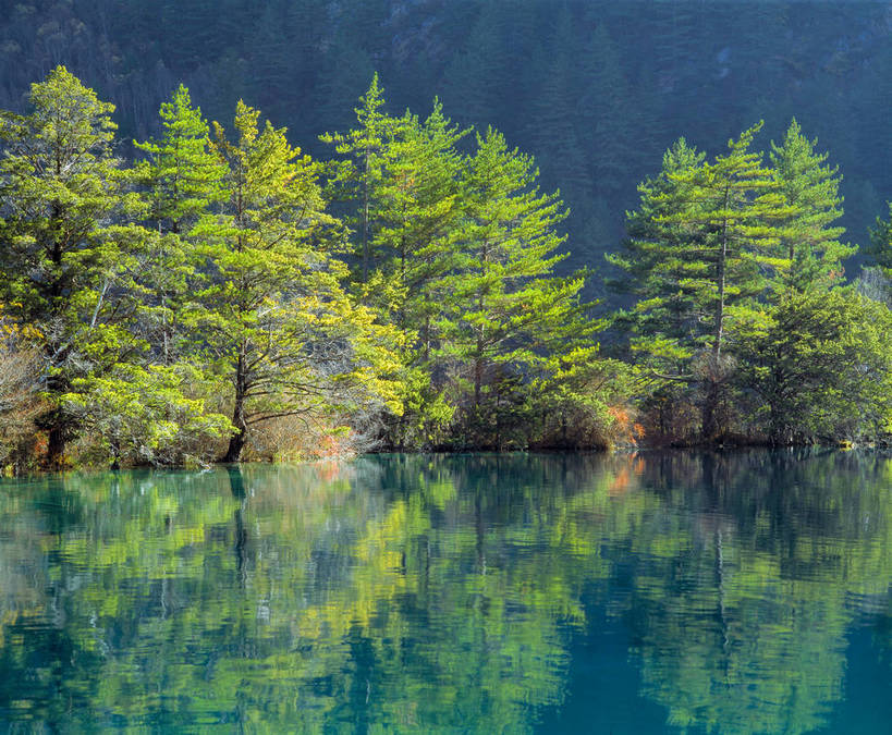 横图,湖泊,河流,树林,九寨沟,中国,亚洲,清澈,绿色的,绿色,摄影,东亚,四川,中华人民共和国,彩图,bj174