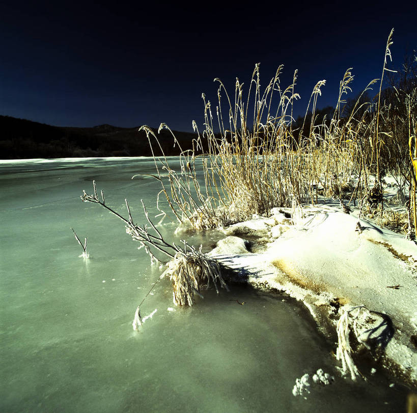 横图,室外,美景,树林,雪,夜景,中国,亚洲,景观,乡村,冬季,冬天,下雪,农村,自然,景色,竖,摄影,矗立,自然风光,耸立,东亚,中华人民共和国,挺立,彩图,雪乡,东北,bj174