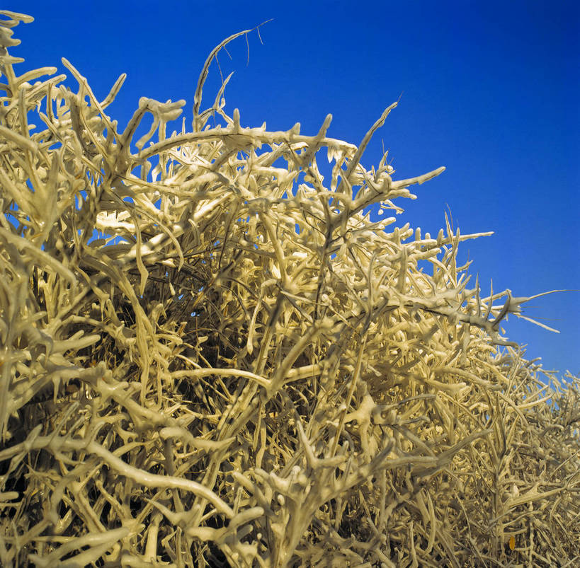 横图,美景,树林,中国,亚洲,结冰,景观,冬季,冬天,下雪,冰冻,自然,景色,摄影,自然风光,东亚,中华人民共和国,彩图,bj174