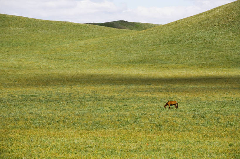 公园,横图,彩色,室外,白天,草地,草原,马,坝上,中国,亚洲,景观,草,绿色,白云,风景,蓝天,天空,自然,蒙,摄影,自然风光,东亚,游牧,内蒙古,中华人民共和国,华北地区,内蒙古自治区,赤峰,赤峰市,牧马,克旗,克什克腾旗,乌兰布通,乌兰布统,乌兰布统乡,克什克腾大草原,克什克腾世界地质公园,内蒙古克什克腾世界地质公园,乌兰布统草原,红山军马场,bj174