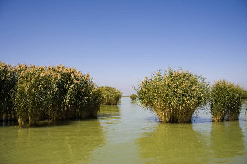 无人,横图,彩色,室外,白天,旅游,度假,湖泊,名胜古迹,水,植物,标志建筑,地标,建筑,中国,亚洲,遗迹,古迹,文物,娱乐,建设,古建筑,自然,享受,休闲,旅游胜地,放松,摄影,古文明,东亚,宁夏,银川,中华人民共和国,西北地区,宁夏回族自治区,宁,石嘴山,石嘴山市,自然景观,旅行,沙湖,沙湖生态旅游区,平罗,平罗县,bj174