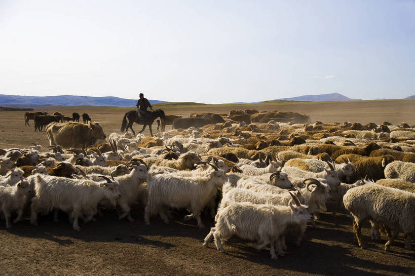 无人,横图,彩色,室外,白天,草原,美景,田园,牛,羊,中国,亚洲,放牧,民俗,景观,牛群,羊群,自然,景色,摄影,自然风光,东亚,游牧,新疆,中华人民共和国,阿勒泰,bj174