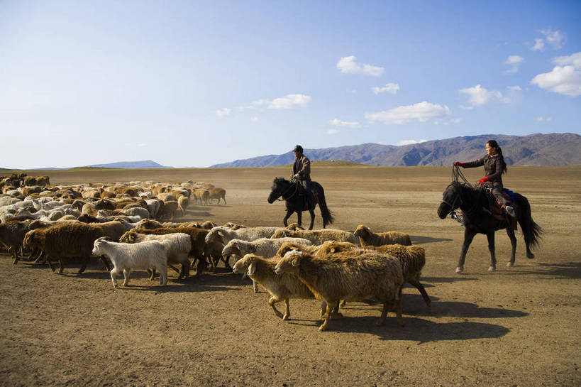无人,横图,彩色,室外,白天,草原,美景,田园,牛,羊,中国,亚洲,放牧,民俗,景观,牛群,羊群,自然,景色,摄影,自然风光,东亚,游牧,新疆,中华人民共和国,阿勒泰,bj174