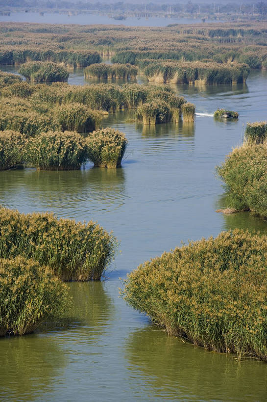 无人,竖图,彩色,室外,白天,旅游,度假,湖泊,名胜古迹,水,植物,标志建筑,地标,建筑,中国,亚洲,遗迹,古迹,文物,娱乐,建设,古建筑,自然,享受,休闲,旅游胜地,放松,竖,摄影,古文明,东亚,宁夏,银川,中华人民共和国,西北地区,宁夏回族自治区,宁,石嘴山,石嘴山市,自然景观,旅行,沙湖,沙湖生态旅游区,平罗,平罗县,bj174
