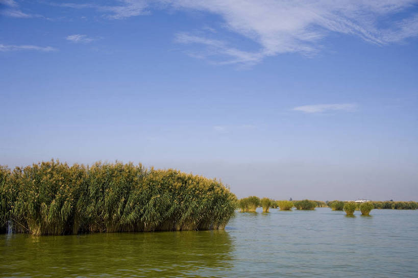 无人,横图,彩色,室外,白天,旅游,度假,湖泊,名胜古迹,水,植物,标志建筑,地标,建筑,中国,亚洲,遗迹,古迹,文物,娱乐,建设,古建筑,自然,享受,休闲,旅游胜地,放松,摄影,古文明,东亚,宁夏,银川,中华人民共和国,西北地区,宁夏回族自治区,宁,石嘴山,石嘴山市,自然景观,旅行,沙湖,沙湖生态旅游区,平罗,平罗县,bj174