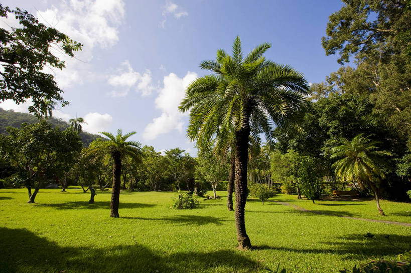 无人,家,花园,横图,彩色,室外,白天,旅游,度假,草坪,名胜古迹,树林,标志建筑,地标,建筑,台湾,中国,亚洲,遗迹,房屋,屋子,古迹,文物,娱乐,建设,古建筑,楼房,住宅,白云,蓝天,自然,享受,休闲,旅游胜地,放松,摄影,蒋介石,故居,古文明,东亚,中华人民共和国,台北市,政治家,外交家,旅行,房子,士林官邸,蒋宋美龄,宋美龄,bj174