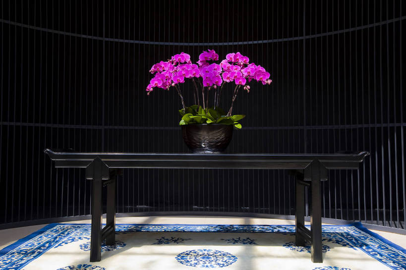 无人,横图,彩色,室内,特写,白天,植物,台湾,中国,亚洲,鲜艳,花朵,花卉,自然,摄影,展览,东亚,中华人民共和国,兰花,bj174