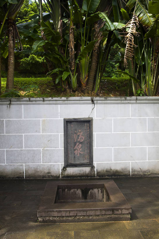 无人,竖图,彩色,室外,白天,旅游,树林,植物,椰树,叶子,中国,亚洲,景观,绿叶,树,树木,海南,绿色,自然,休闲,嫩叶,旅游胜地,竖,摄影,井,海南省,生长,成长,度假村,东亚,中华人民共和国,华南地区,省会,海口,海口市,琼,叶,叶片,棕榈,椰子树,旅行,琼山,琼山区,琼台福地,五公祠,bj174