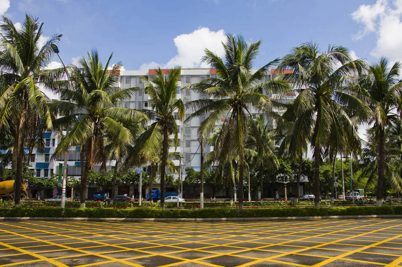 广场,横图,彩色,室外,白天,旅游,树林,植物,城市风光,建筑,椰树,叶子,中国,亚洲,景观,绿叶,交通,现代建筑,树,树木,海南,绿色,天空,自然,嫩叶,旅游胜地,商务楼,摄影,生长,成长,东亚,中华人民共和国,海口,叶,叶片,棕榈,椰子树,旅行,国贸,bj174