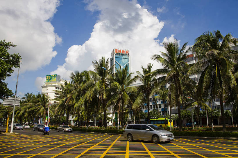 广场,横图,彩色,室外,白天,旅游,树林,植物,城市风光,建筑,椰树,叶子,中国,亚洲,景观,绿叶,交通,现代建筑,树,树木,海南,绿色,天空,自然,嫩叶,旅游胜地,商务楼,摄影,生长,成长,东亚,中华人民共和国,海口,叶,叶片,棕榈,椰子树,旅行,国贸,bj174