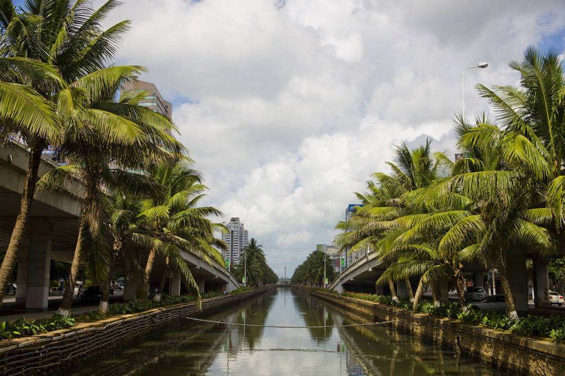 无人,广场,横图,彩色,室外,白天,旅游,树林,植物,城市风光,建筑,立交桥,椰树,叶子,中国,亚洲,景观,绿叶,交通,现代建筑,树,树木,海南,绿色,天空,自然,嫩叶,旅游胜地,摄影,生长,成长,东亚,中华人民共和国,海口,叶,叶片,河,棕榈,椰子树,旅行,bj174