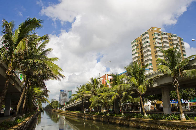 无人,广场,横图,彩色,室外,白天,旅游,树林,植物,城市风光,建筑,立交桥,椰树,叶子,中国,亚洲,景观,绿叶,交通,现代建筑,树,树木,海南,绿色,天空,自然,嫩叶,旅游胜地,摄影,生长,成长,东亚,中华人民共和国,海口,叶,叶片,河,棕榈,椰子树,旅行,bj174