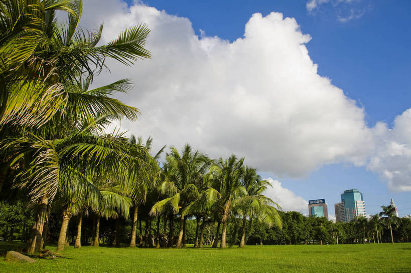 无人,广场,横图,彩色,室外,白天,旅游,草坪,树林,植物,椰树,叶子,中国,亚洲,景观,绿叶,树,树木,海南,绿色,天空,自然,绿地,休闲,嫩叶,旅游胜地,摄影,海南省,生长,成长,东亚,中华人民共和国,华南地区,省会,海口,海口市,琼,叶,叶片,棕榈,椰子树,旅行,龙华区,万绿园,bj174