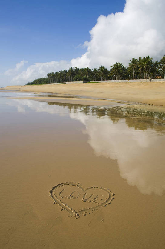 无人,竖图,彩色,室外,白天,旅游,沙滩,树林,植物,椰树,叶子,中国,亚洲,绿叶,树,树木,海南,绿色,天空,自然,休闲,心形,嫩叶,旅游胜地,竖,摄影,海南省,生长,成长,海滨,东亚,中华人民共和国,华南地区,琼,叶,叶片,海,海滩,棕榈,椰子树,旅行,博鳌,博鳌镇,琼东,琼海,琼海市,博鳌玉带湾大酒店,bj174