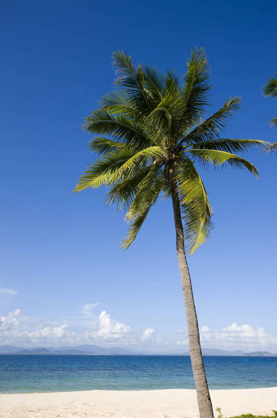 无人,竖图,彩色,室外,白天,旅游,椰树,三亚,中国,亚洲,海南,天空,自然,休闲,旅游胜地,竖,摄影,风光,海滨,东亚,中华人民共和国,海滩,旅行,蜈支洲岛,bj174