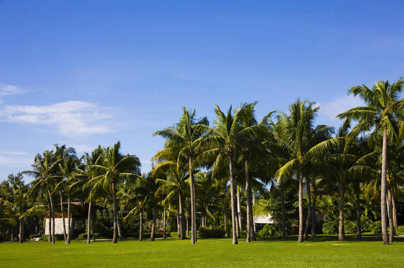 无人,横图,彩色,室外,白天,旅游,草坪,树林,三亚,中国,亚洲,景观,海南,天空,绿地,休闲,旅游胜地,摄影,度假村,东亚,中华人民共和国,旅行,亚龙湾,居住区,bj174