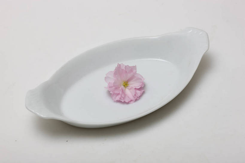 横图,彩色,室内,特写,白天,桃花,北京,中国,局部,图片,花,花朵,花卉,自然,盘子,摄影,道具,东亚,影棚拍摄,bj174