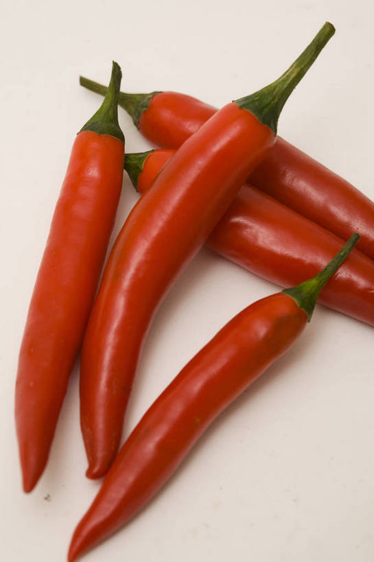 竖图,彩色,特写,白天,蔬菜,静物,中国,亚洲,图片,食品,尖椒,食物,排列,多个,竖,摄影,东亚,红辣椒,影棚拍摄,bj174