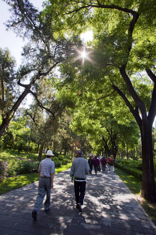 公园,竖图,彩色,旅游,度假,名胜古迹,树林,标志建筑,城市,道路,地标,建筑,北京,中国,亚洲,游人,遗迹,图片,古迹,文物,娱乐,建设,古建筑,景山公园,树木,晨练,享受,休闲,旅游胜地,放松,摄影,文明,古文明,东亚,中华人民共和国,旅行,bj174