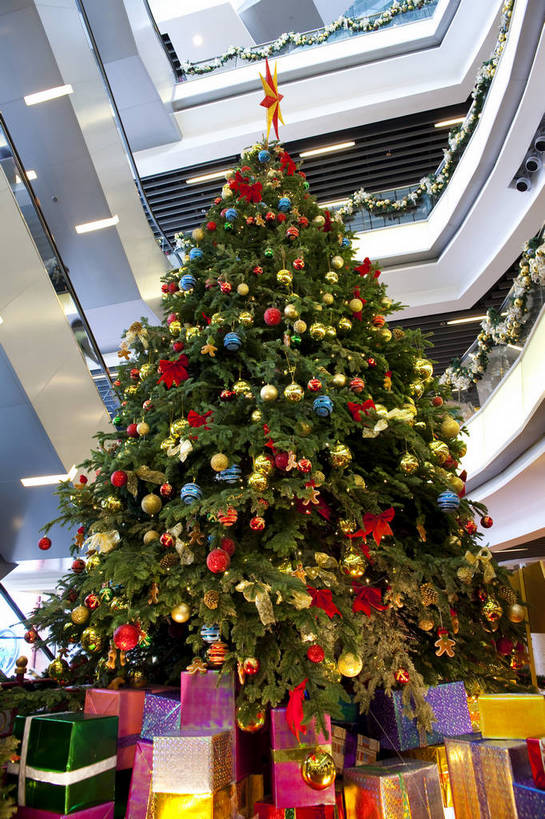 无人,竖图,彩色,室内,白天,购物,旅游,度假,名胜古迹,标志建筑,城市,地标,建筑,商场,礼盒,香港,中国,节日,遗迹,装饰,图片,圣诞树,古迹,文物,娱乐,建设,现代,古建筑,享受,休闲,旅游胜地,放松,生活方式,公共设施,文明,气氛,古文明,繁荣,旅行,购物中心,bj174
