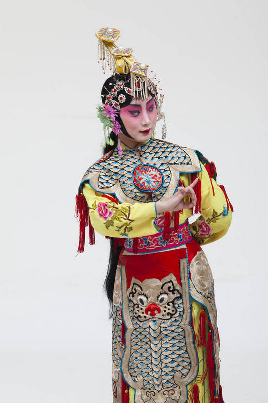 一个人,演员,竖图,彩色,白色背景,正面,化妆,北京,中国,亚洲,仅一个人,表演,艺术,造型,鲜艳,头饰,图片,注视,文化,脸谱,观察,看,站着,表情,竖,姿势,摄影,服饰,观看,动作,察看,关注,中国文化,戏剧,民族服饰,演出服,京剧,东亚,国粹,青衣,女人,中国人,年轻人,半身,影棚拍摄,化装,中国戏曲,传统文化,虞姬,舞台妆,bj174