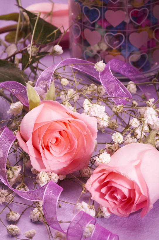 无人,竖图,特写,爱情,纯洁,水,植物,玫瑰,静物,情人节,湿,节日,芳香,香气,液体,水滴,浪漫,花,花瓣,花朵,花卉,开花,红色,自然,露珠,温馨,喜庆,香味,摄影,影棚,气味,假期,简单,象征,物体,摄影棚,关心,精美,暖色调,甜蜜,影棚拍摄,拍摄,bj174