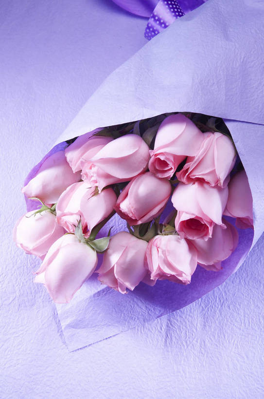 无人,竖图,特写,爱情,纯洁,水,植物,玫瑰,静物,情人节,湿,节日,芳香,香气,液体,水滴,浪漫,花,花瓣,花朵,花卉,开花,红色,自然,露珠,温馨,喜庆,香味,摄影,影棚,气味,假期,简单,象征,物体,摄影棚,关心,精美,暖色调,甜蜜,影棚拍摄,拍摄,bj174