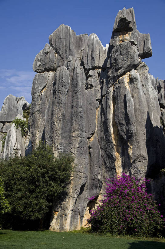 无人,竖图,彩色,室外,白天,旅游,度假,草地,草坪,石头,名胜古迹,石林,标志建筑,地标,建筑,昆明,中国,亚洲,遗迹,石子,图片,巨石,古迹,文物,娱乐,建设,古建筑,云南,树木,享受,休闲,旅游胜地,放松,摄影,文明,中国文化,自然风光,昆明市,古文明,东亚,云南省,中华人民共和国,省会,西南地区,滇,自然遗产,石林县,石林彝族自治县,石块,岩石,旅行,云南石林地质公园,传统文化,bj174