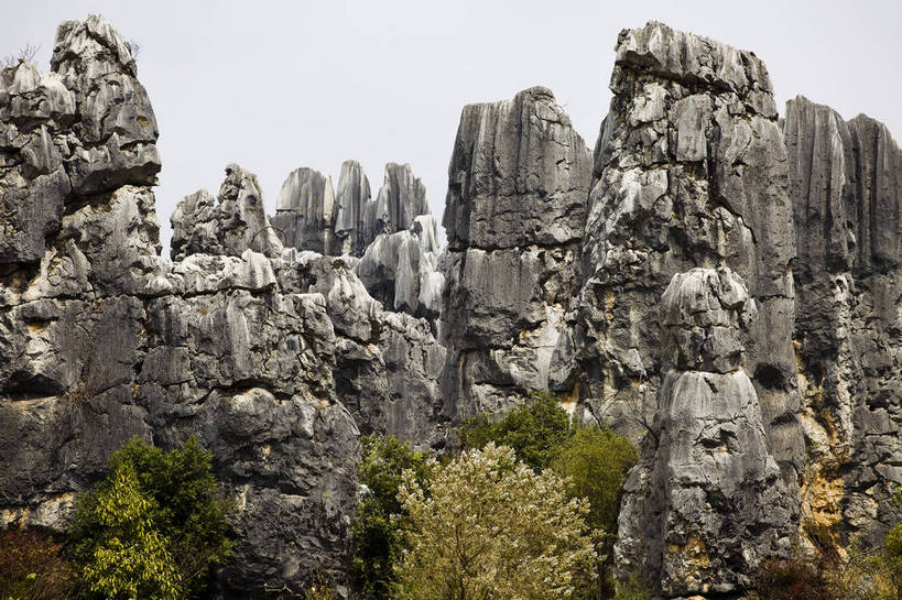无人,横图,彩色,室外,白天,旅游,度假,石头,名胜古迹,石林,标志建筑,地标,建筑,昆明,中国,亚洲,遗迹,石子,图片,巨石,古迹,文物,娱乐,建设,古建筑,云南,树木,享受,休闲,旅游胜地,放松,摄影,文明,中国文化,自然风光,昆明市,古文明,东亚,云南省,中华人民共和国,省会,西南地区,滇,自然遗产,石林县,石林彝族自治县,石块,岩石,旅行,云南石林地质公园,传统文化,bj174
