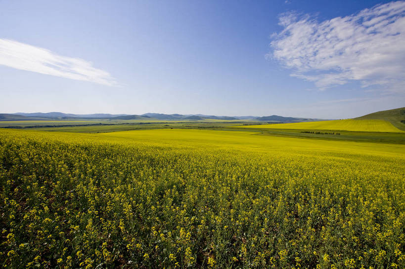 无人,横图,彩色,室外,白天,草地,草原,田园,中国,亚洲,图片,白云,天空,自然,蒙,摄影,风光,原野,东亚,内蒙古,中华人民共和国,华北地区,内蒙古自治区,额尔古纳,bj174