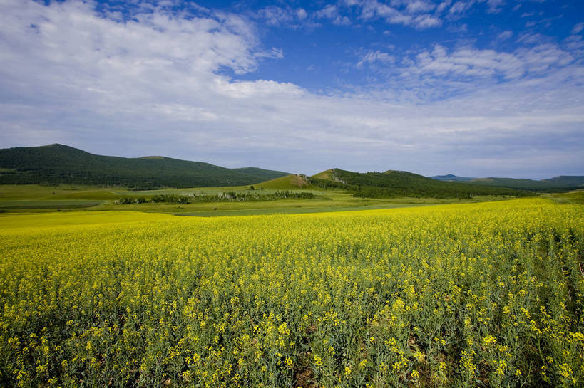 无人,横图,彩色,室外,白天,草地,草原,田园,中国,亚洲,图片,白云,天空,自然,蒙,摄影,风光,空旷,原野,东亚,内蒙古,中华人民共和国,华北地区,内蒙古自治区,额尔古纳,bj174