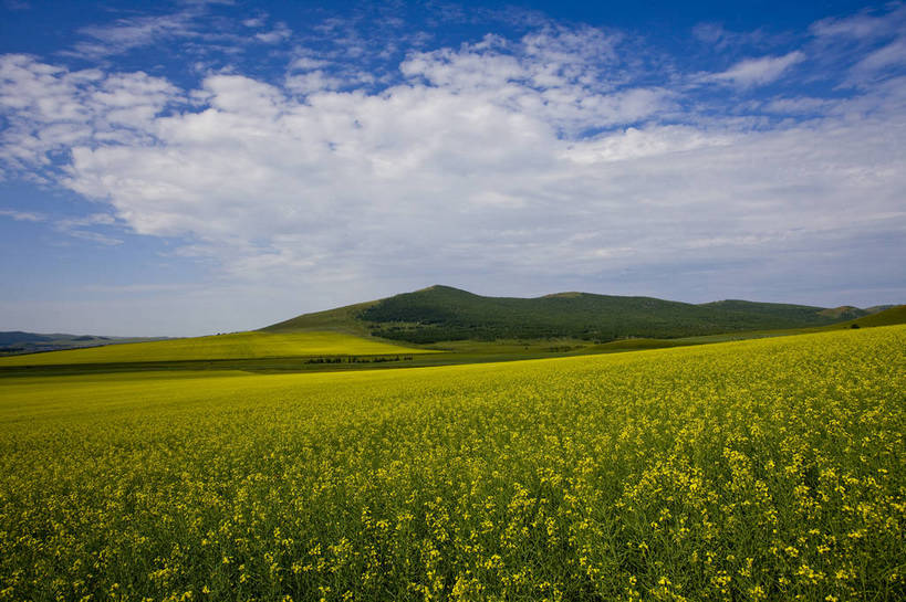 无人,横图,彩色,室外,白天,草地,草原,田园,中国,亚洲,图片,白云,天空,自然,蒙,摄影,风光,空旷,原野,东亚,内蒙古,中华人民共和国,华北地区,内蒙古自治区,额尔古纳,bj174