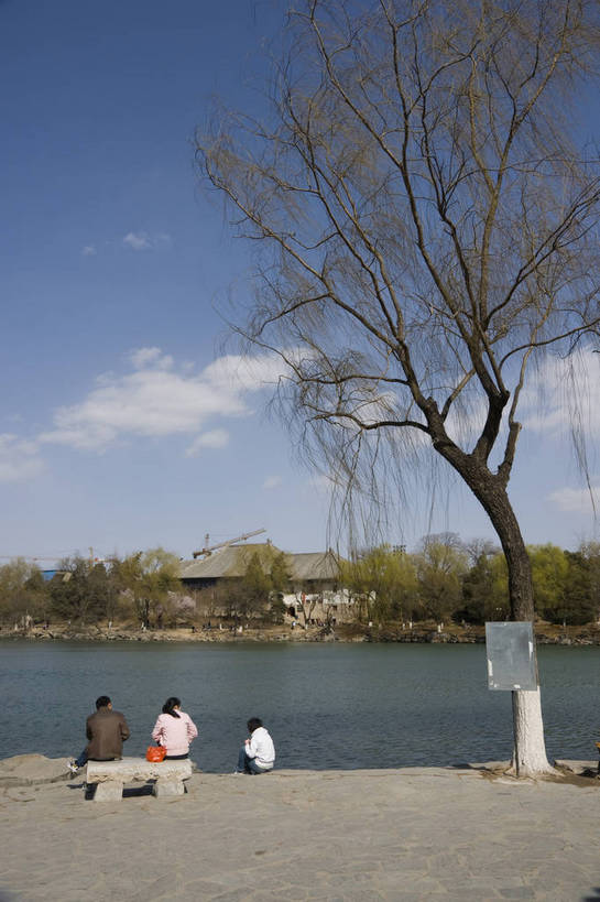 学生,摄影师,学校,竖图,彩色,室外,白天,北京,中国,亚洲,湖畔,教育,历史,文化,校园,东方,树木,白云,蓝天,阳光,人工湖,摄影,晴天,宁静,文明,闲适,摄像师,高等学府,祥和,旅行,大学,北京大学,未名湖,bj174