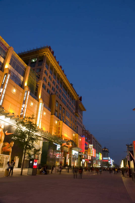 人群,摄影师,竖图,彩色,室外,仰视,购物,消费,步行街,城市,路灯,霓虹灯,商场,夜景,北京,中国,亚洲,行人,繁华,广告牌,楼房,商业街,顾客,东方,树木,现代化,蓝天,王府井,摄影,热闹,摄像师,灯火辉煌,旅行,商业,高层建筑,购物中心,bj174