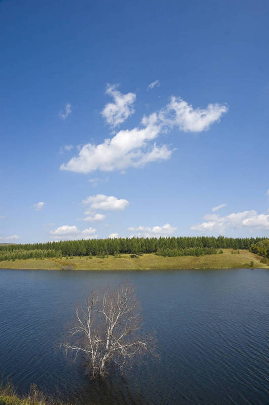 无人,摄影师,竖图,彩色,室外,白天,旅游,草原,湖泊,美景,树林,坝上,中国,亚洲,清澈,景观,山川,辽阔,江西,名胜,白云,风景,蓝天,阳光,自然,景色,晴天,自然风光,东亚,摄像师,塞罕坝,江西省,南昌,中华人民共和国,华北地区,华东地区,省会,赣,河北,河北省,冀,南昌市,承德,承德市,幽静,秀美,自然景观,丰宁县,大滩镇,坝上草原,丰宁满族自治县,京北第一草原,丰宁,神龙潭,bj174