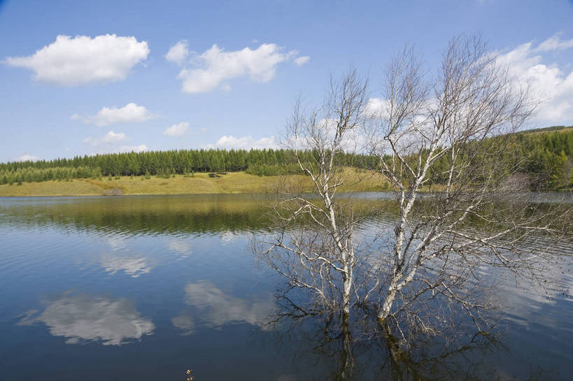 无人,摄影师,横图,彩色,室外,白天,旅游,草原,湖泊,美景,树林,坝上,中国,亚洲,清澈,景观,山川,辽阔,江西,名胜,白云,倒影,风景,蓝天,阳光,自然,景色,晴天,自然风光,东亚,摄像师,塞罕坝,江西省,南昌,中华人民共和国,华北地区,华东地区,省会,赣,河北,河北省,冀,南昌市,承德,承德市,幽静,秀美,自然景观,丰宁县,大滩镇,坝上草原,丰宁满族自治县,京北第一草原,丰宁,神龙潭,bj174