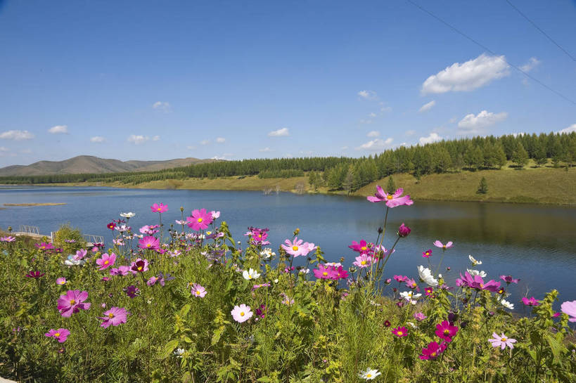 无人,摄影师,横图,彩色,室外,白天,旅游,草原,湖泊,美景,树林,坝上,中国,亚洲,清澈,景观,山川,辽阔,野花,江西,名胜,白云,风景,蓝天,阳光,自然,景色,晴天,自然风光,东亚,摄像师,塞罕坝,江西省,南昌,中华人民共和国,华北地区,华东地区,省会,赣,河北,河北省,冀,南昌市,承德,承德市,幽静,秀美,自然景观,丰宁县,大滩镇,坝上草原,丰宁满族自治县,京北第一草原,丰宁,神龙潭,bj174