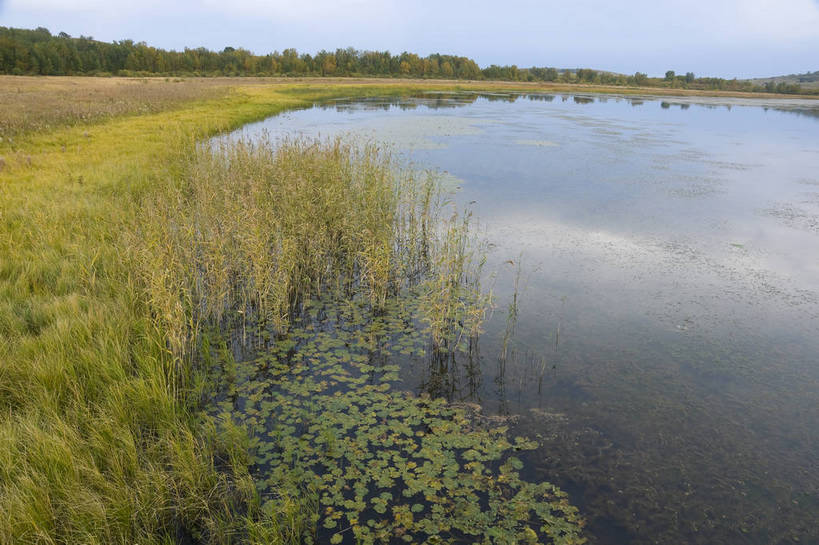 无人,摄影师,横图,彩色,室外,白天,旅游,草原,湖泊,美景,树林,坝上,中国,亚洲,景观,山川,辽阔,名胜,白云,风景,蓝天,阳光,自然,景色,茂盛,晴天,自然风光,东亚,摄像师,塞罕坝,中华人民共和国,华北地区,河北,河北省,冀,承德,承德市,幽静,秀美,自然景观,丰宁县,大滩镇,坝上草原,丰宁满族自治县,京北第一草原,丰宁,桃山湖景区,bj174