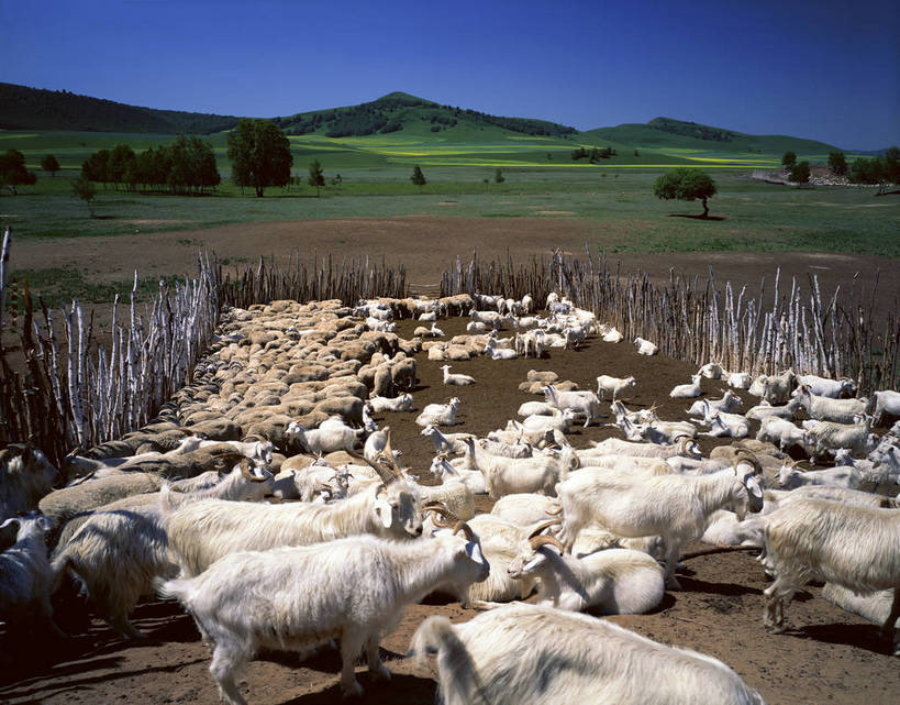 无人,横图,彩色,室外,白天,旅游,度假,畜牧业,草原,美景,名胜古迹,标志建筑,地标,建筑,坝上,中国,亚洲,放牧,遗迹,图片,羊群,古迹,文物,娱乐,建设,古建筑,树木,风景,蓝天,天空,自然,享受,休闲,旅游胜地,放松,蒙,摄影,地理,风光,宁静,自然风光,羊圈,古文明,东亚,内蒙古,畜牧,中华人民共和国,华北地区,牧业,河北,河北省,冀,内蒙古自治区,承德,承德市,丰宁县,大滩镇,坝上草原,丰宁满族自治县,京北第一草原,丰宁,bj174