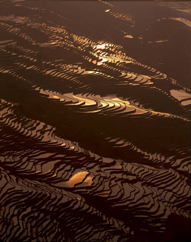 无人,农田,竖图,俯视,彩色,室外,特写,白天,旅游,度假,庄稼,梯田,农作物,美景,名胜古迹,田园,标志建筑,地标,建筑,中国,亚洲,遗迹,图片,稻田,景观,古迹,文物,娱乐,建设,古建筑,云南,自然,享受,休闲,旅游胜地,景色,放松,摄影,宁静,自然风光,古文明,东亚,元阳,云南省,中华人民共和国,西南地区,滇,红河,红河州,红河哈尼族彝族自治州,哀牢山,元阳梯田,元阳县,耕地,庄稼田,元阳哈尼族梯田,bj174