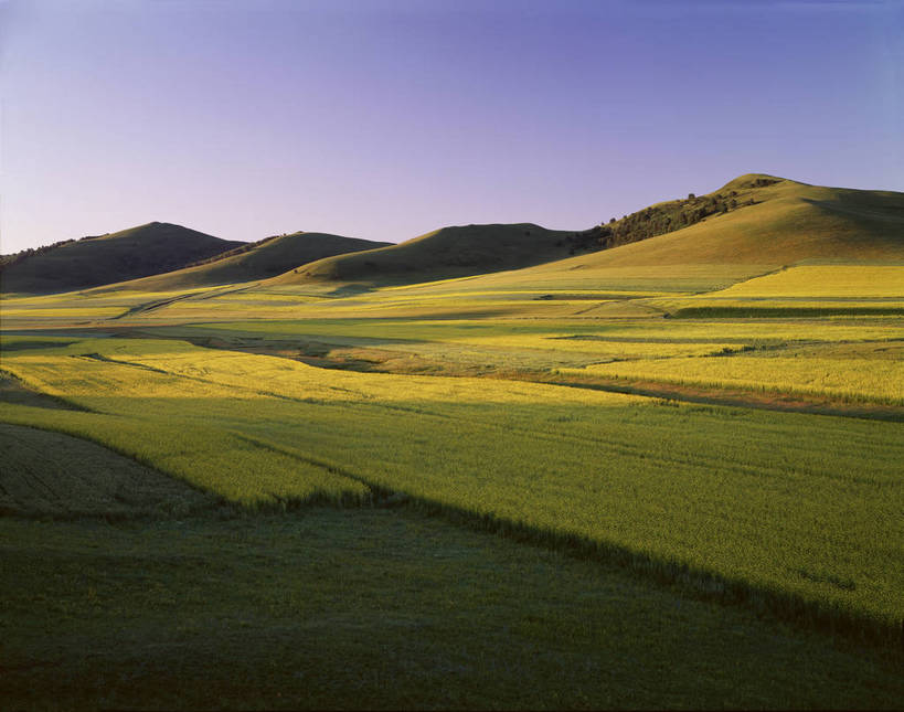 无人,横图,彩色,室外,白天,旅游,度假,牧场,草原,美景,名胜古迹,田园,标志建筑,地标,建筑,坝上,中国,亚洲,遗迹,图片,草场,古迹,文物,娱乐,建设,古建筑,风景,蓝天,天空,自然,平原,享受,休闲,远景,旅游胜地,放松,蒙,摄影,地理,风光,宁静,一望无际,空旷,自然风光,原野,古文明,东亚,内蒙古,中华人民共和国,华北地区,河北,河北省,冀,内蒙古自治区,承德,承德市,丰宁县,大滩镇,坝上草原,丰宁满族自治县,京北第一草原,丰宁,bj174